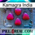 Kamagra India 13